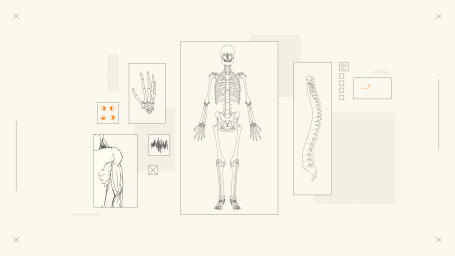 Line drawings of a human skeleton, hand, spine, and anatomical illustrations.